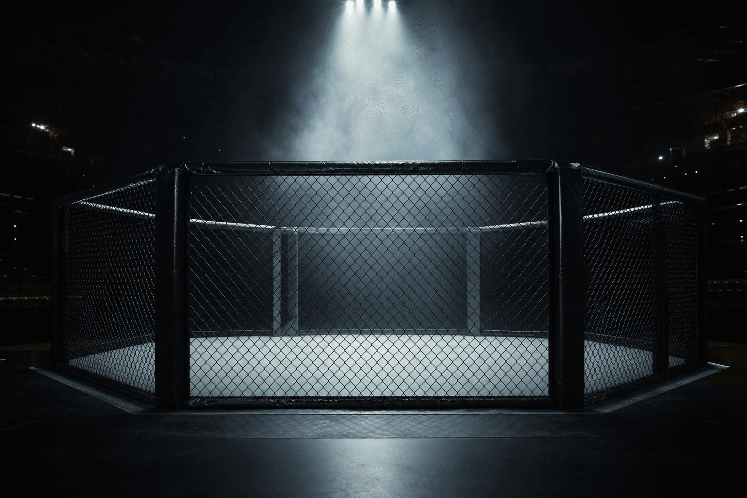 UFC 중계 — 격투기 시청 가이드